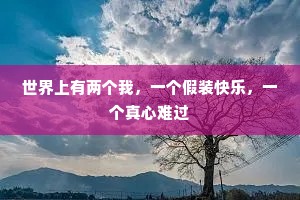 世界上有两个我，一个假装快乐，一个真心难过