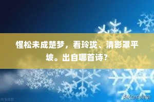 惺松未成楚梦，看玲珑、清影罩平坡。出自哪首诗？
