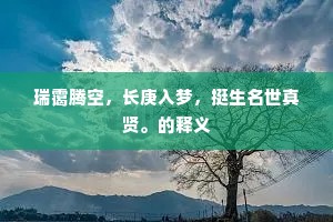 瑞霭腾空，长庚入梦，挺生名世真贤。的释义