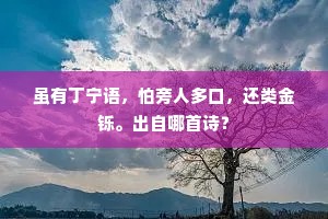 虽有丁宁语，怕旁人多口，还类金铄。出自哪首诗？