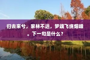 归去来兮，家林不远，梦魂飞绕烟峰。下一句是什么？