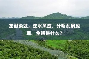 龙涎染就，沈水薰成，分明乱屑琼瑰。全诗是什么？