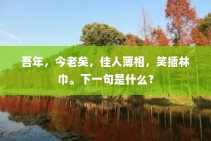 吾年，今老矣，佳人薄相，笑插林巾。下一句是什么？