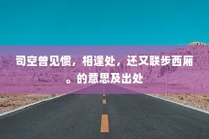 司空曾见惯，相逢处，还又联步西厢。的意思及出处