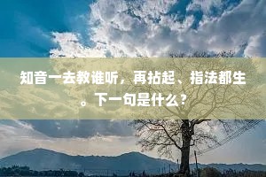 知音一去教谁听，再拈起、指法都生。下一句是什么？
