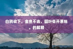 白鸥欲下，金鱼不去，圆叶低开蕙帐。的解释