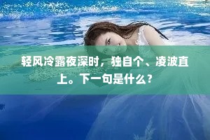 轻风冷露夜深时，独自个、凌波直上。下一句是什么？
