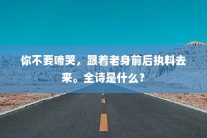 你不要啼哭，跟着老身前后执料去来。全诗是什么？