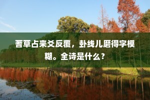 蓍草占来爻反覆，卦线儿磨得字模糊。全诗是什么？