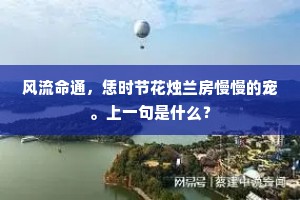 风流命通，恁时节花烛兰房慢慢的宠。上一句是什么？