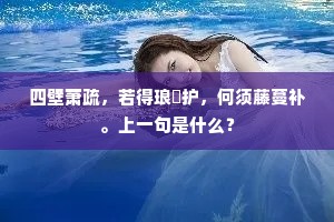 四壁萧疏，若得琅护，何须藤蔓补。上一句是什么？