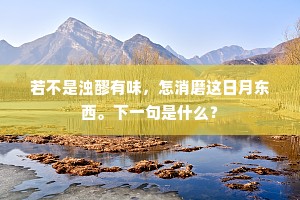 若不是浊醪有味，怎消磨这日月东西。下一句是什么？