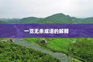 一览无余成语的解释