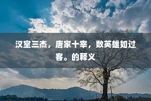 汉室三杰，唐家十宰，数英雄如过客。的释义