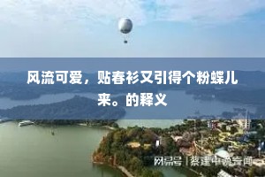 风流可爱，贴春衫又引得个粉蝶儿来。的释义