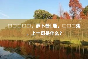 □□□□□，萝卜酱鹿，□□□烧。上一句是什么？