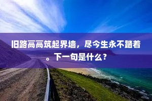 旧路高高筑起界墙，尽今生永不踏着。下一句是什么？