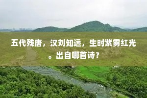 五代残唐，汉刘知远，生时紫雾红光。出自哪首诗？