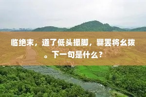 临绝末，道了低头撮脚，爨罢将幺拨。下一句是什么？