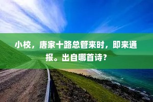 小校，唐家十路总管来时，即来通报。出自哪首诗？