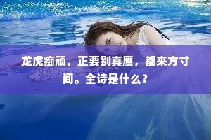 龙虎痴顽，正要别真赝，都来方寸间。全诗是什么？