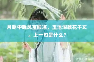 月明中晚风宝殿凉，玉池深藕花千丈。上一句是什么？