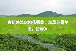 有所感流水桃花鳜美，秋风莼菜鲈肥。的释义