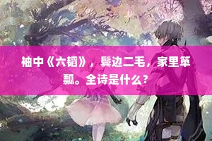 袖中《六韬》，鬓边二毛，家里箪瓢。全诗是什么？