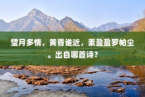 璧月多情，黄昏谁近，素盈盈罗帕尘。出自哪首诗？