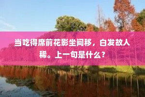 当吃得席前花影坐间移，白发故人稀。上一句是什么？