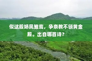 似这般娇凤雏鸾，争奈教不锁黄金殿。出自哪首诗？
