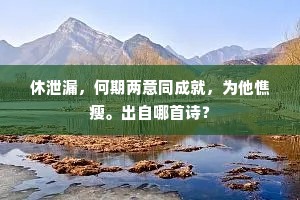 休泄漏，何期两意同成就，为他憔瘦。出自哪首诗？