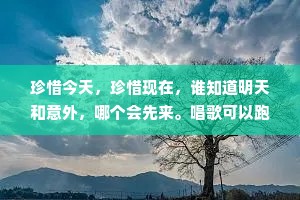 珍惜今天，珍惜现在，谁知道明天和意外，哪个会先来。唱歌可以跑调，但做人，不能频频走调