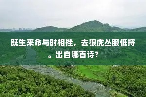 既生来命与时相挫，去狼虎丛服低捋。出自哪首诗？