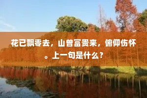 花已飘零去，山曾富贵来，俯仰伤怀。上一句是什么？