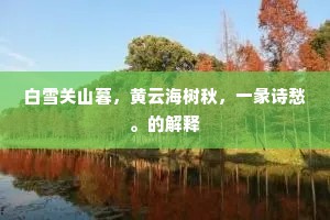 白雪关山暮，黄云海树秋，一彖诗愁。的解释