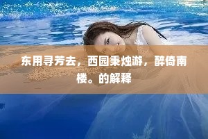 东用寻芳去，西园秉烛游，醉倚南楼。的解释