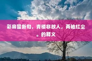 彩扇留新句，青楼非故人，两袖红尘。的释义