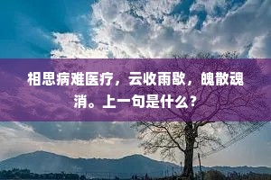 相思病难医疗，云收雨歇，魄散魂消。上一句是什么？