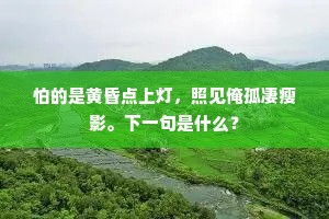 怕的是黄昏点上灯，照见俺孤凄瘦影。下一句是什么？