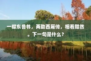一襟东鲁书，两助西厢传，相看黯然。下一句是什么？