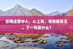 想俺这意中人，心上有，争奈眼前无。下一句是什么？