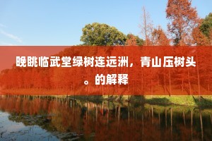 晚眺临武堂绿树连远洲，青山压树头。的解释