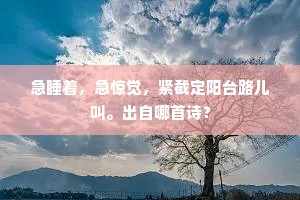 急睡着，急惊觉，紧截定阳台路儿叫。出自哪首诗？