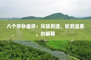八个字非虚谬：玲珑剔透，软款温柔。的解释