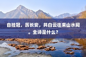 自挂冠，历长安，共白云往来山水间。全诗是什么？