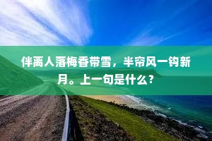 伴离人落梅香带雪，半帘风一钩新月。上一句是什么？