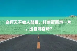 奈何天不教人醉眠，打新荷雨声一片。出自哪首诗？