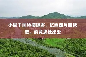 小阑干画桥横缘野，忆西湖月明秋夜。的意思及出处