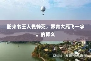 盼来书王人憔悴死，界青大雁飞一字。的释义
